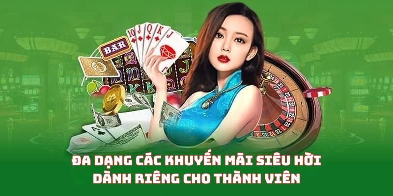 Đa dạng các khuyến mãi siêu hời dành riêng cho thành viên