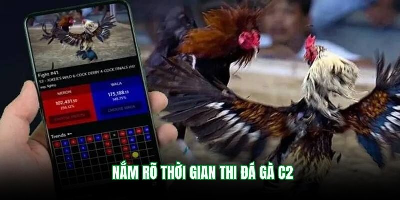 Nắm rõ thời gian thi đá gà C2